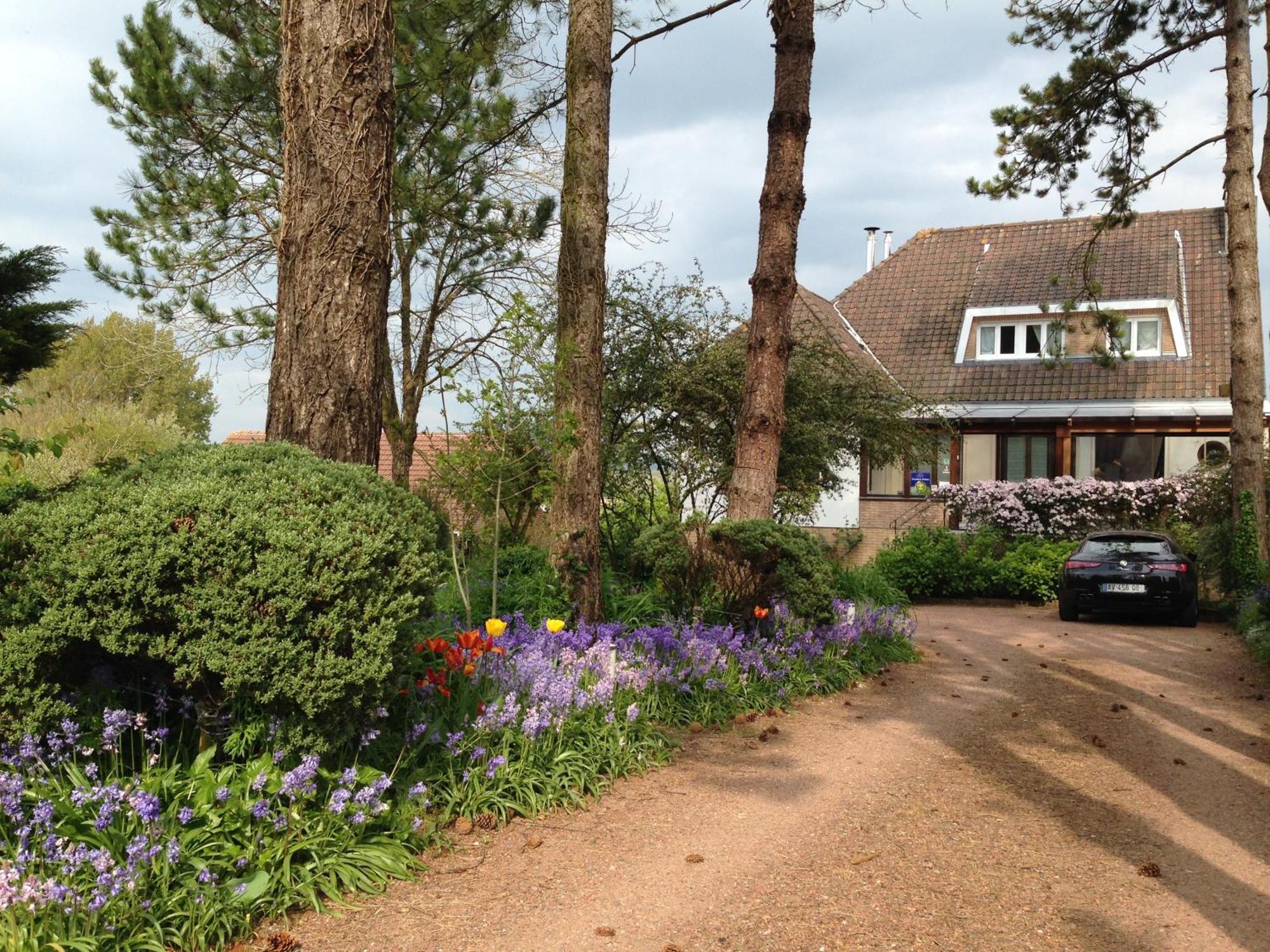 Greenfield Chambres D'Hotes Neufchâtel-Hardelot Eksteriør billede